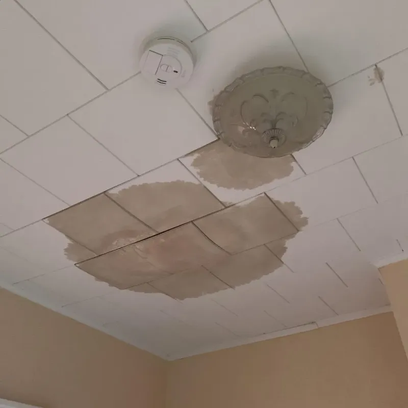 Ceiling Water Damage Repair in Marion, OH