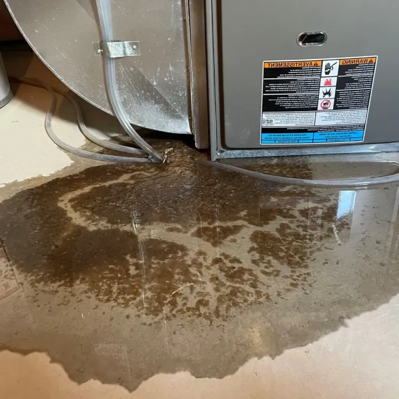 Pipe Burst and Leak Restoration in Marion, OH