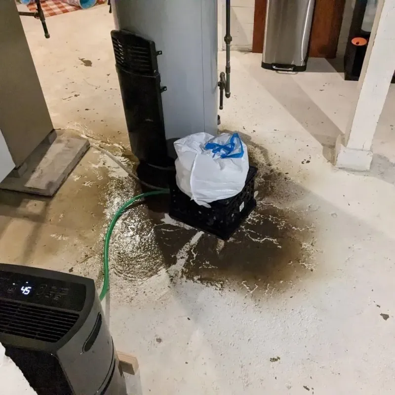 Sewage Backup Cleanup Service in Marion, OH